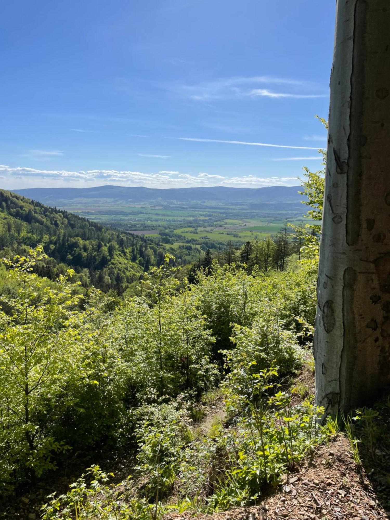 Swierkowy Zakatek Idzikow Exterior foto